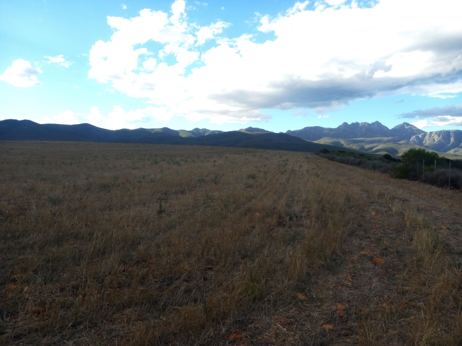 Commercial Property for Sale in George Rural Western Cape